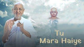 Tu Mara Haiye
