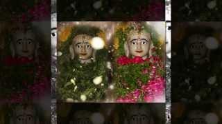 Jevi Rayan Vruksh Ni Chhaya